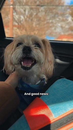 What are you going to do next? Your train awaits. | NC By Train