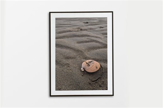Shell on the Beach, Pacific Ocean Atmosphere, Print Decor for Home - Etsy