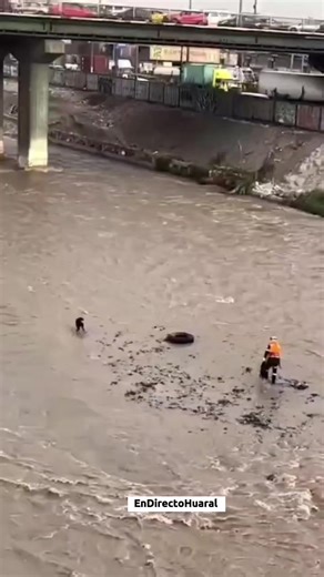 Tragedia en el río: policía y perrito desaparecen en Lima