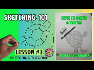 Sketch Tutorial: How to Draw a Turtle (Basic Shapes)