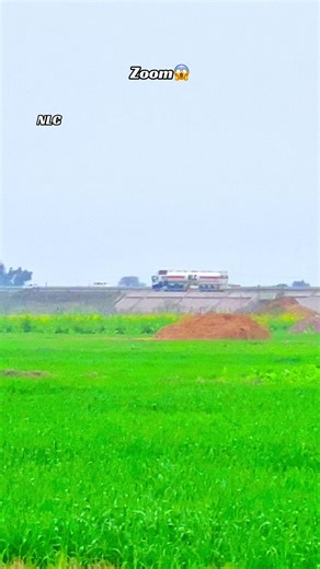 Exploring iPhone Zoom Features