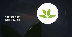 Télécharger et Jouer à PlantNet Identification Plante sur PC & Mac (Émulateur)