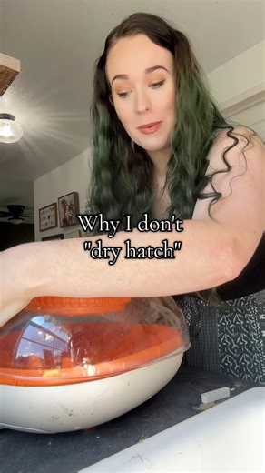 41K views · 1.3K reactions | Let's talk about dry hatching! I get...