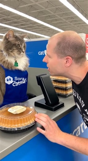 Cat retail worker gets yelled at by an angry male “Karen”