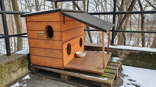 9 DIY Outdoor Cat House Plans You Can Make Today (With Pictures) - Catster