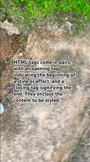 How do HTML tags work?