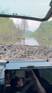 485K views · 2K reactions | Canada provided some interesting trails like crawling over a Beaver Dam 酪 | Dirt Dudes UTV | Facebook