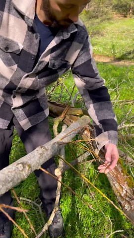 Building a Durable Camp Stool from Natural Materials in the Wilderness
