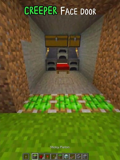 I Built a Creeper Face Door in Minecraft! 😱#shorts #viral