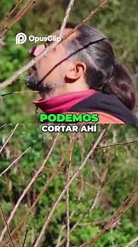 Guía Definitiva para Podar Ramas de Frutales