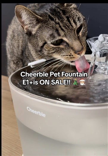 Cheerble Pet Fountain E1 : The Ultimate Hydration Solution for Cats