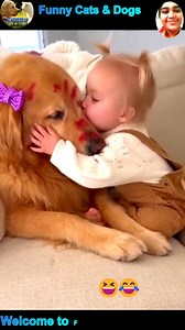 funny cat and dog videos for kids #funny #cat #dog #funnyusa #funnyuk #foryouシ #reelsviralシ #funnyeurope | Funny Card