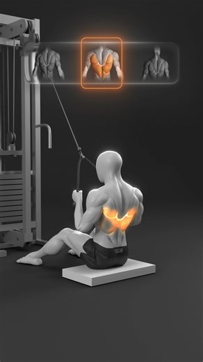 🚀 Rope Pulling Exercises Explained — Know the Difference! | DEMIC