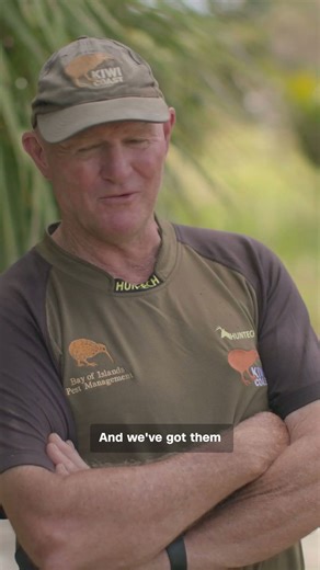 New Zealand government eradicating feral cats