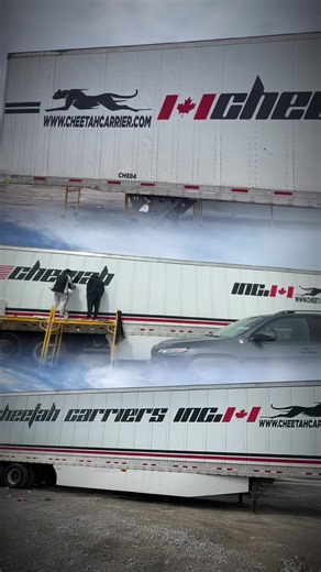 #punjabi #punjab #brampton #stickers #trucker #toronto #btown #caledon #mississauga #ontario #truckinglife #trailer #wallpaper #wallpapers #custom #restaurant #food