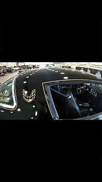 78 PONTIAC TRANS AM #delmar #goodguyscarshow #americancars #SMOKYANDTHEBANDIT