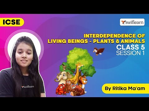 Interdependence Of Living Beings - Plants & Animals | ICSE Class 5 Science | Session 1 - Swiflearn