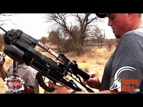Dangerous Game Hunting Compilation!! - 5 Lion,2 Cape Buffalo!!