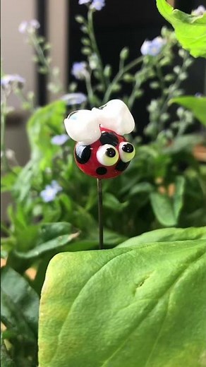 Les Minuscules #jardin #garden #home