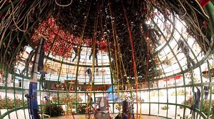 7.9K views · 339 reactions | Did you know our famous 95-foot Christmas tree takes approximately 50 people three days to assemble? Watch here to witness how this extraordinary centerpiece comes to life each holiday season. | Galleria Dallas | Facebook