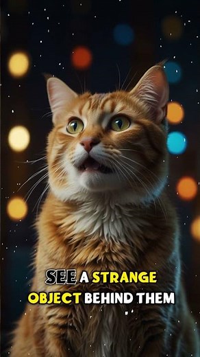 Are Cats Really Afraid of Cucumbers? 🥒 The Truth Behind the Viral Videos!