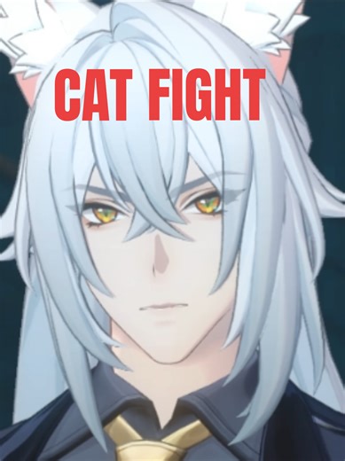 The Exciting World of Gacha Cat Fights