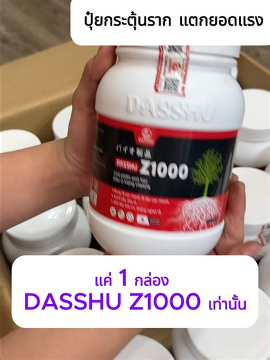 เพิ่มผลผลิต พืชแข็งแรง ผลดก เก็บเกี่ยวคุ้มค่า แนะนำเลยปุ๋ย DASSHU Z1000 ช่วยกระตุ้นราก รากแข็งแรง พืชกินปุ๋ยได้เต็มที่ เหมาะกับพืชเศรษฐกิจหลากหลายชนิด #เกษตรไทย #ข้าว #อ้อย #มันสำปะหลัง #ยางพารา #ปาล์มน้ำมัน #ข้าวโพด #ผักสวนครัว #ไม้ผล #ปุ๋ยชีวภาพ #ปุ๋ยเกษตร #เกษตรอินทรีย์ #เพิ่มผลผลิต #ฟื้นฟูราก #พืชเศรษฐกิจ #เทรนด์TikTok