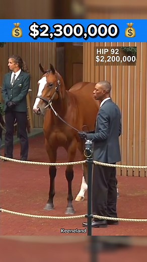 High-Stake Horse Auction: $2,300,000 Starting Bid