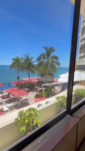 13 reactions | 필핒핣한핖핥 함핚핥학 핒 핍핀피핎! ️☀️ Just a different VIBE and we’re here for it! Day one at Honolulu market was AMAZING! A HUGE thank you to all of the brands for making this happen. We’re seeing (& buying) SPRING 2026 before ANYONE else!   咽  閭 Join us in Instastories to BE THE BUYER ➡️ | The 308 Boutique • www.the308boutique.com | Facebook