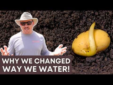 The #1 Reason Seeds Fail to Germinate (It’s Not the Seed)