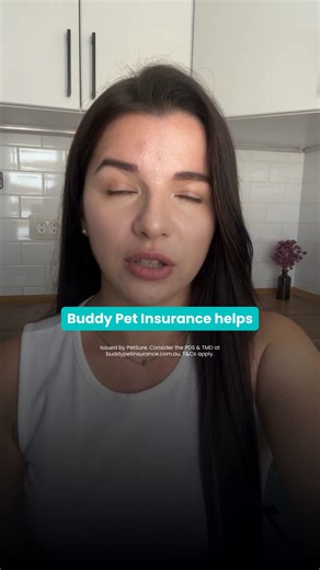 ATTENTION PET OWNERS! Help protect your pocket from unexpected vet bills! Claim up to $35,000 a year on eligible vet bills, depending on your level of cover. | Buddy Pet Insurance