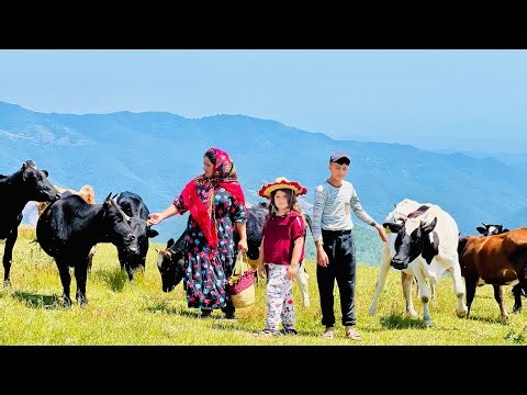 Nomadic Life in the Mountains | Making Organic Cheese & Cooking Traditional Ash-e Doogh