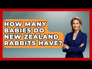 How Many Babies Do New Zealand Rabbits Have? - The Wild Life Explorer