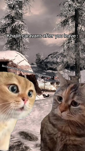 #skyrim #skyrimmemes #elderscrolls #skyrimtiktok #skyrimtok #elderscrollsskyrim #elderscrollstiktok #elderscrollsmeme