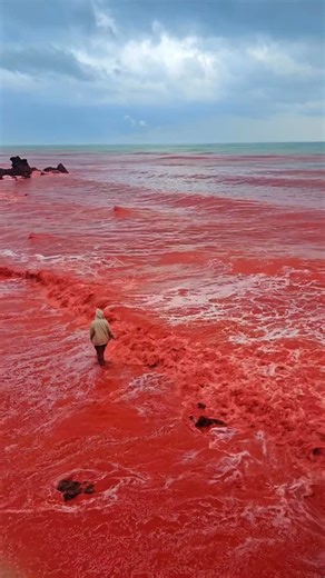 ‎Iran | ایران‎ on Instagram‎: "باران که آمد، هرمز دوباره خودش را نشان داد؛ سُرخ، زنده، متفاوت Hormuz Island, Where Rain Becomes Art #Iran #ایران #Hormuz #هرمز ©️ : @Hormoz_Omid"‎