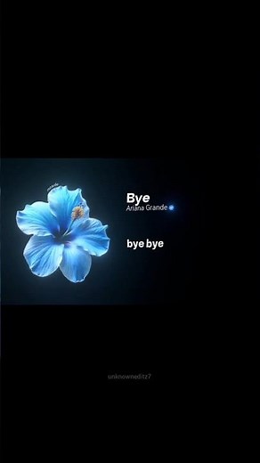 Ariana Grande - bye (Altare Remix) Lyrics #arianagrande #bye #shorts