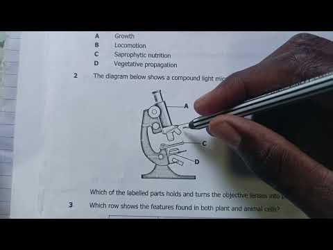 Biology microscope exam questions revision 10 and 11 and 12 #seo