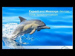 Delphin Technology Tutorial - Expert and Message devices time synchronization