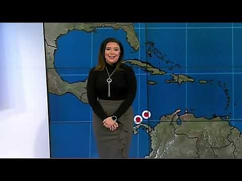 Felicia Combs - 112821 Grey Skirt and Tights - Weather Channel - Rear View - Easy On The Eyes