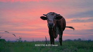 索尼FX3自拍样片