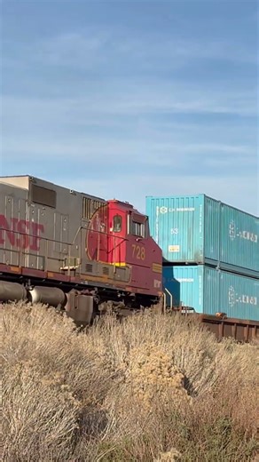 Stack Train with BNSF Fakebonnet 728 #train #trains #railfan #fyp