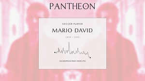 Mario David Biography | Pantheon