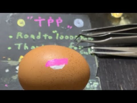 raw egg peeling. alien technic！ TPP