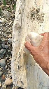 135K views · 834 reactions | Look and enjoy....!! This wood fossil emits a beautiful sound. #Fossilwood #Petrifiedwood #beautifulsound | Jonnaidi Jhon Diamond | Facebook