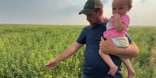 Intercropping in North Dakota: Epping farmer discusses method and practice