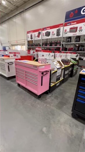 #lowes #girltools #pink