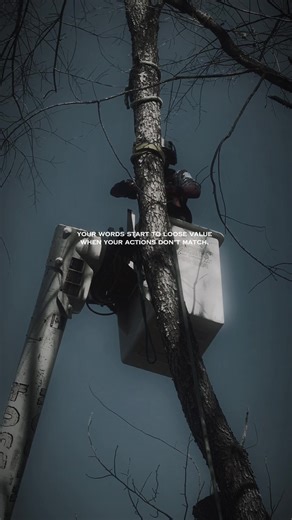 Roberts Tree Experts: Quality Tree Service You Can Trust