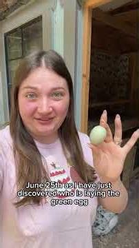 Mystery solved thanks to blink ! 🥚 The Blink cameras I use are in my Amazon storefront & I highly