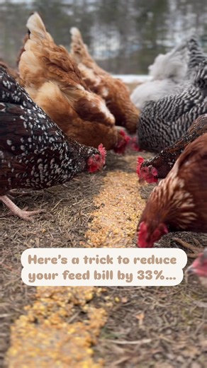 35K views · 533 reactions | Are you ready to save money on chicken...