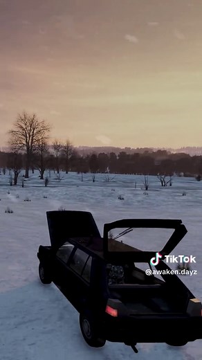 AWAKEN SERVER Funny Moments in DAYZ Gameplay